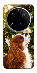 Чехол Flower spaniel для Xiaomi 15 Ultra