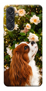 Чохол Flower spaniel для Galaxy M55