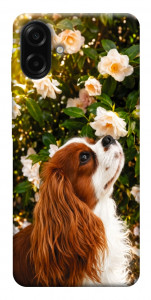 Чохол Flower spaniel для Galaxy A07