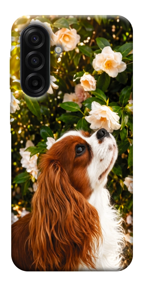 Чехол Flower spaniel для Galaxy A17 5G