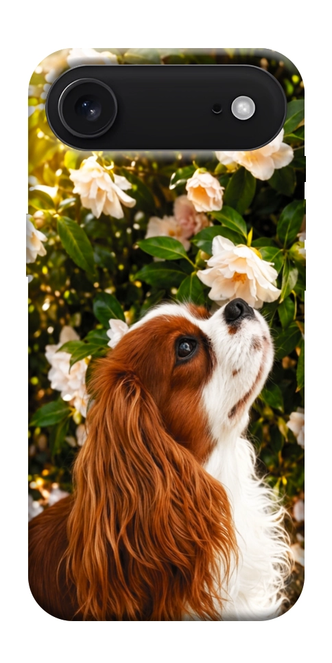 Чехол Flower spaniel для iPhone 17 Air