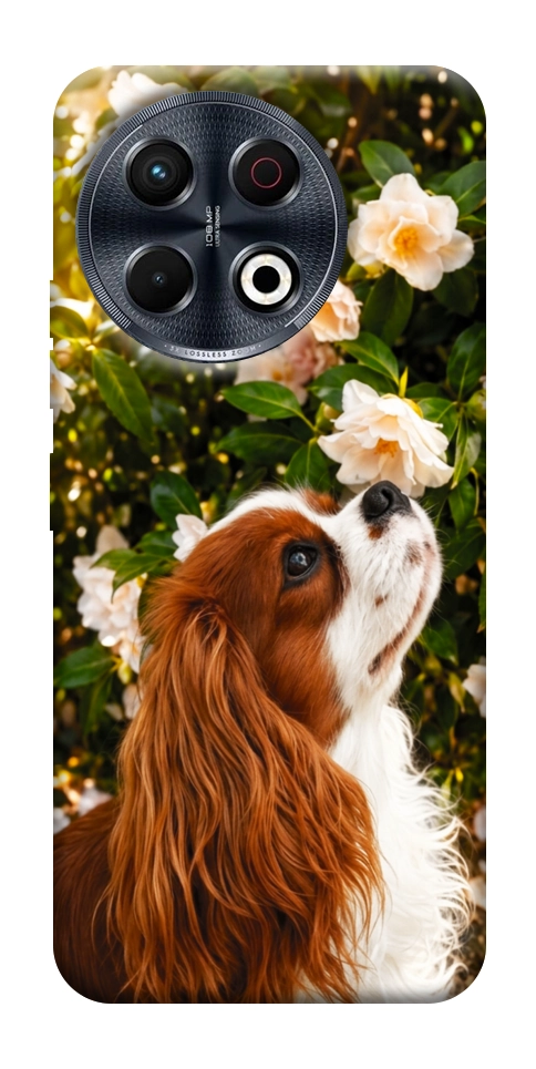 Чехол Flower spaniel для TECNO Spark 30 Pro (KL7)
