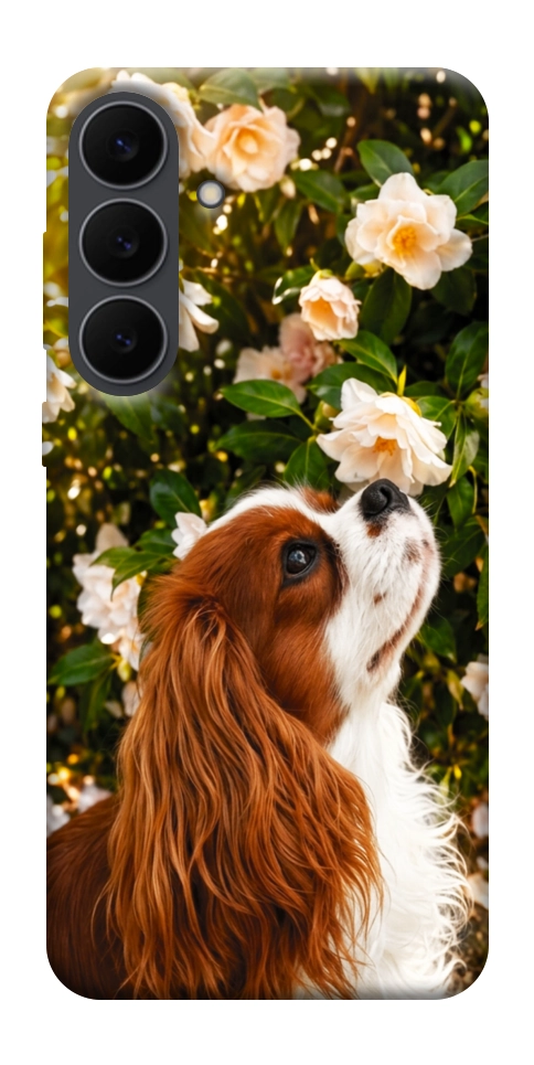 Чехол Flower spaniel для Galaxy S25 FE