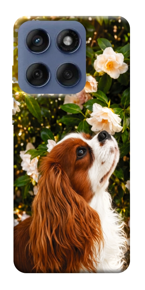 Чохол Flower spaniel для Motorola Edge 60 Fusion
