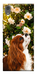 Чехол Flower spaniel для Sony Xperia XA1