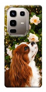 Чехол Flower spaniel для Infinix Note 50 Pro 4G
