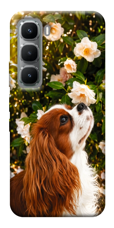 Чехол Flower spaniel для Infinix Hot 60