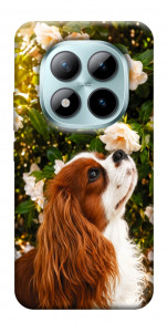Чехол Flower spaniel для Xiaomi Redmi Note 15 Pro 5G