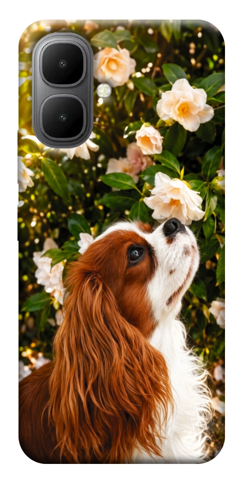 Чехол Flower spaniel для Infinix Smart 10