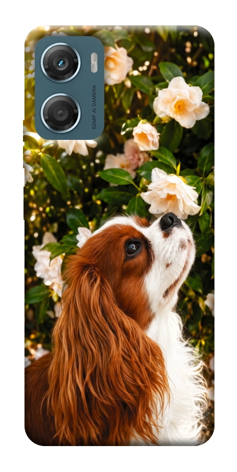 Чехол Flower spaniel для Motorola Moto G06