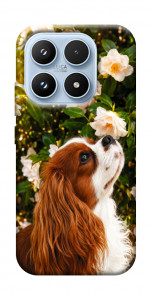 Чехол Flower spaniel для Xiaomi 17