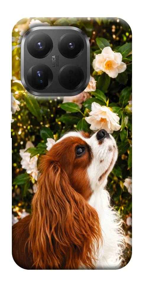 Чехол Flower spaniel для Xiaomi 15T Pro
