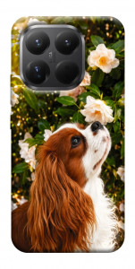 Чехол Flower spaniel для Xiaomi 15T Pro