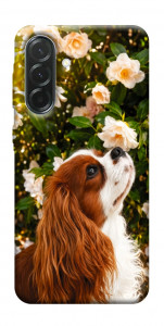 Чехол Flower spaniel для Galaxy A37 5G