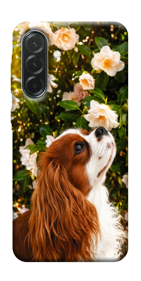 Чехол Flower spaniel для Galaxy A57 5G