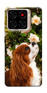 Чехол Flower spaniel для ZTE Blade A56