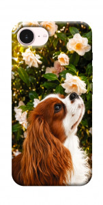 Чехол Flower spaniel для iPhone 17e