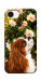 Чехол Flower spaniel для iPhone 17e