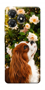 Чехол Flower spaniel для ZTE Blade A36