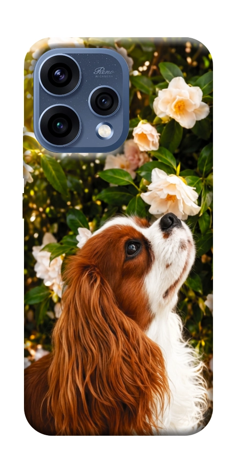 Чехол Flower spaniel для Oppo Reno 15