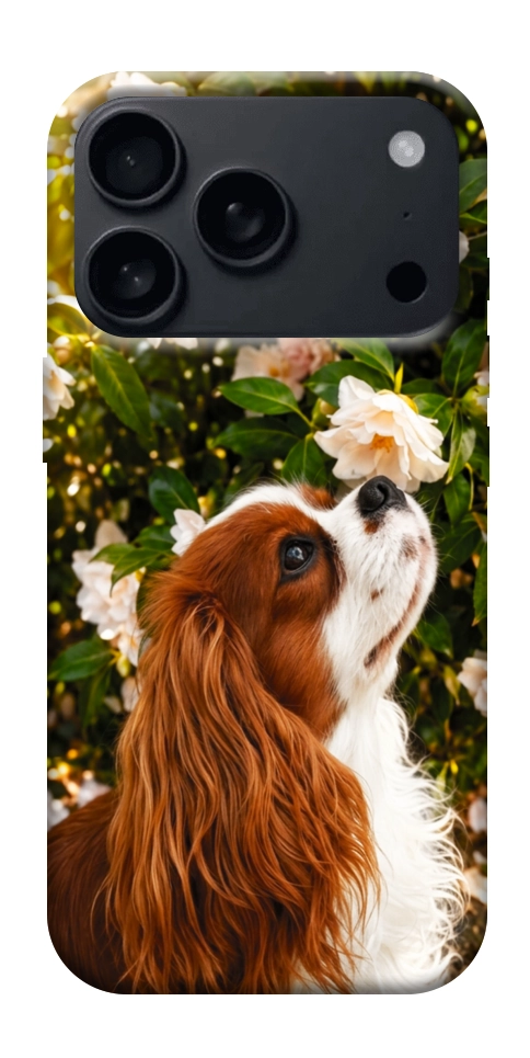 Чехол Flower spaniel для iPhone 18 Pro