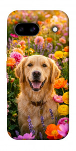Чехол Flowery labrador для Google Pixel 8a