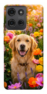 Чохол Flowery labrador для Motorola Moto G75 5G
