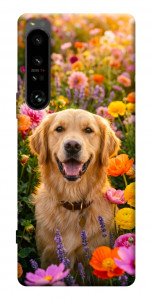 Чехол Flowery labrador для Sony Xperia 1 IV