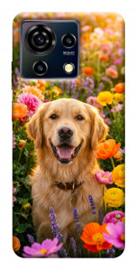 Чохол Flowery labrador для ZTE Blade V50 Vita