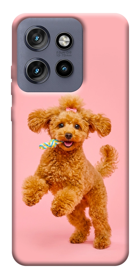 Чохол Happy poodle для Motorola Edge 50 Neo