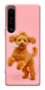 Чехол Happy poodle для Sony Xperia 1 IV