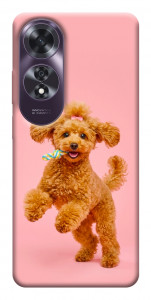 Чехол Happy poodle для Oppo A60 4G