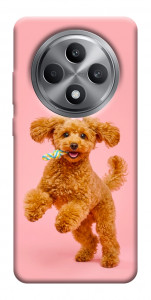 Чехол Happy poodle для Oppo Reno 12 F 4G
