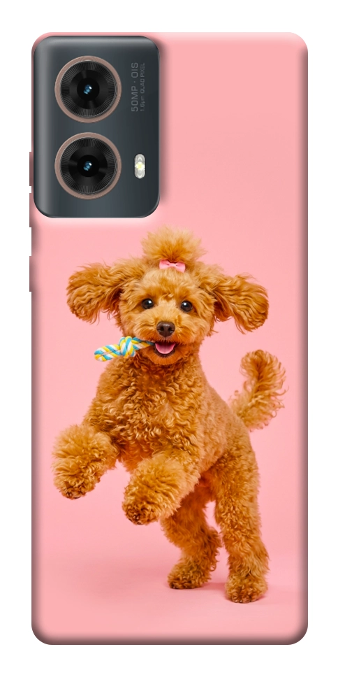 Чехол Happy poodle для Motorola Moto G85