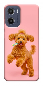 Чехол Happy poodle для Motorola Moto E15