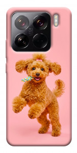 Чехол Happy poodle для Xiaomi 15 Pro