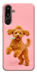 Чохол Happy poodle для Galaxy F16 5G