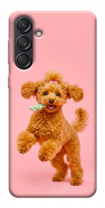 Чохол Happy poodle для Galaxy M55