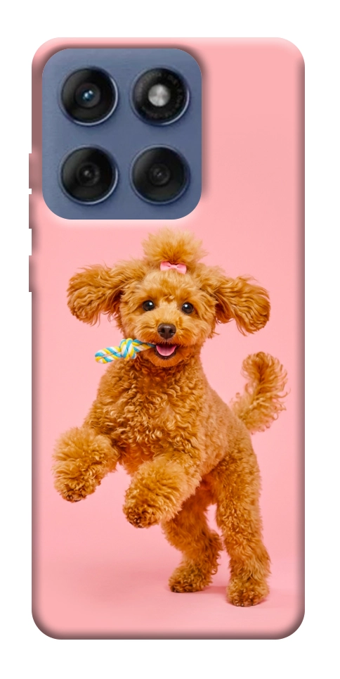 Чехол Happy poodle для Motorola Edge 60 Fusion