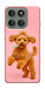 Чехол Happy poodle для Motorola Edge 60 Pro