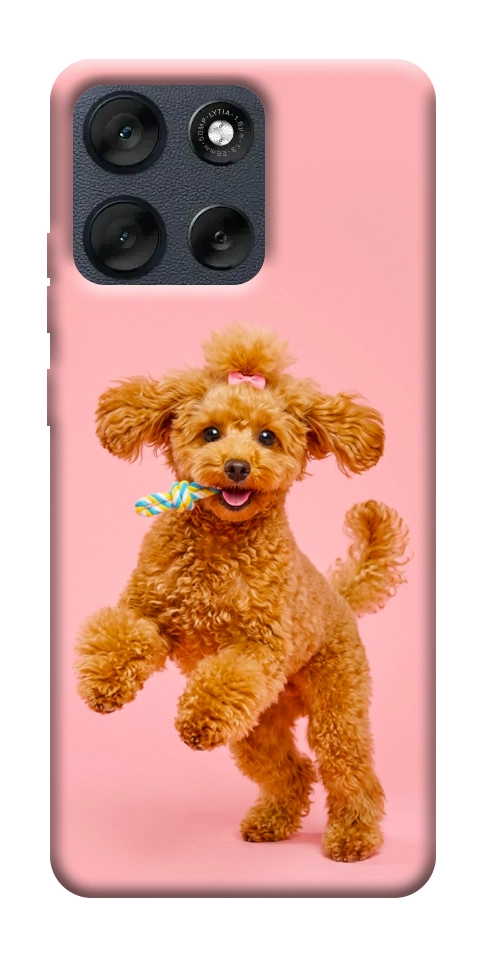 Чохол Happy poodle для Motorola Moto G56 5G