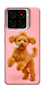 Чехол Happy poodle для ZTE Blade A56