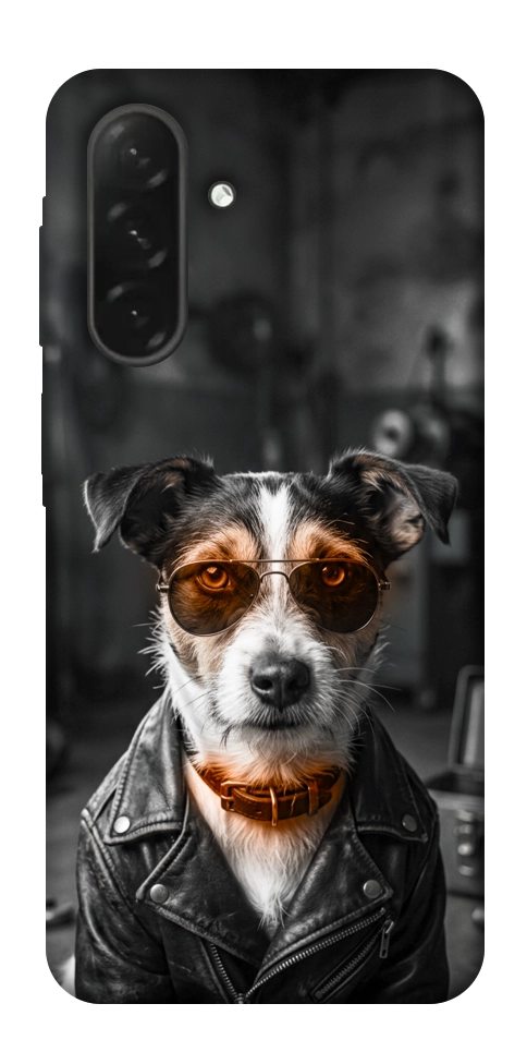 Чехол Jack rassel для Galaxy A26 5G