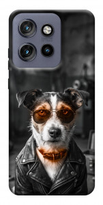 Чохол Jack rassel для Motorola Edge 50 Neo