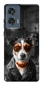 Чехол Jack rassel для Motorola Edge 50 Fusion
