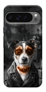 Чехол Jack rassel для Google Pixel 10 Pro XL