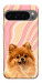 Чехол Pastel spitz для Google Pixel 10 Pro XL