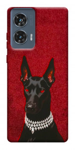 Чехол Premium doberman для Motorola Edge 50 Fusion