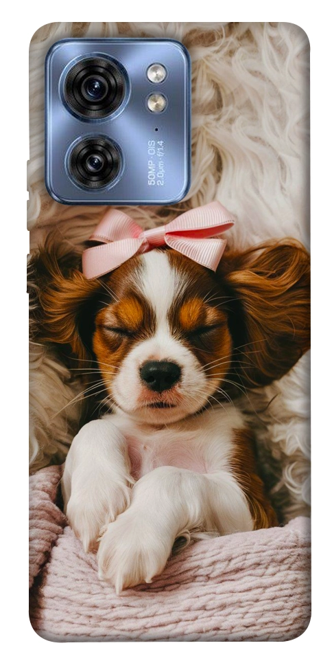 Чехол Sleepy spaniel для Motorola Edge 40