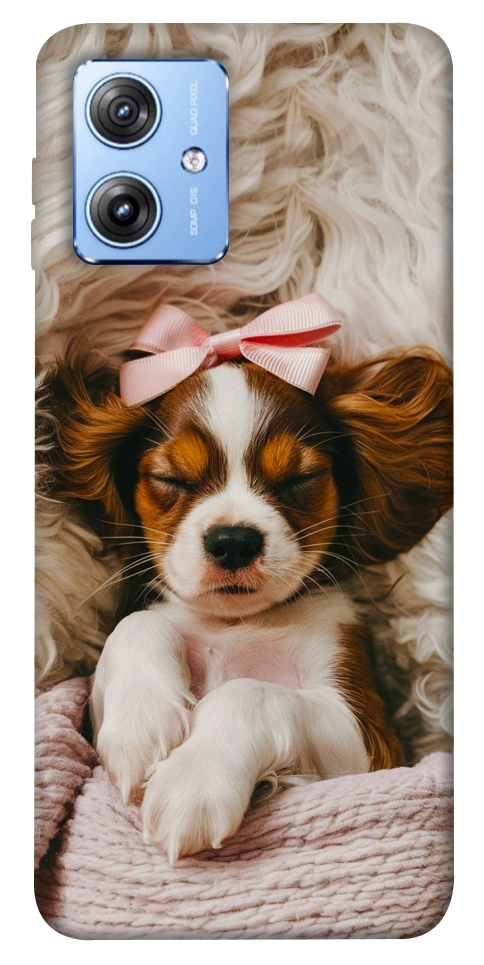 Чехол Sleepy spaniel для Motorola Moto G84